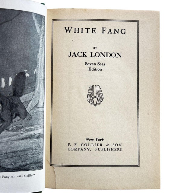 Antique Jack London White Fang Seven Seas Edition Collier Illustrated c.1906 For Sale - Image 14 of 15