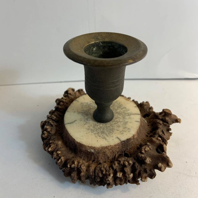 1910s Antique 1910s Horn Antler Candleholder For Sale - Image 5 of 6