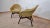 Set of Shell Armchairs by Miroslav Navratil For Sale - Image 6 of 8