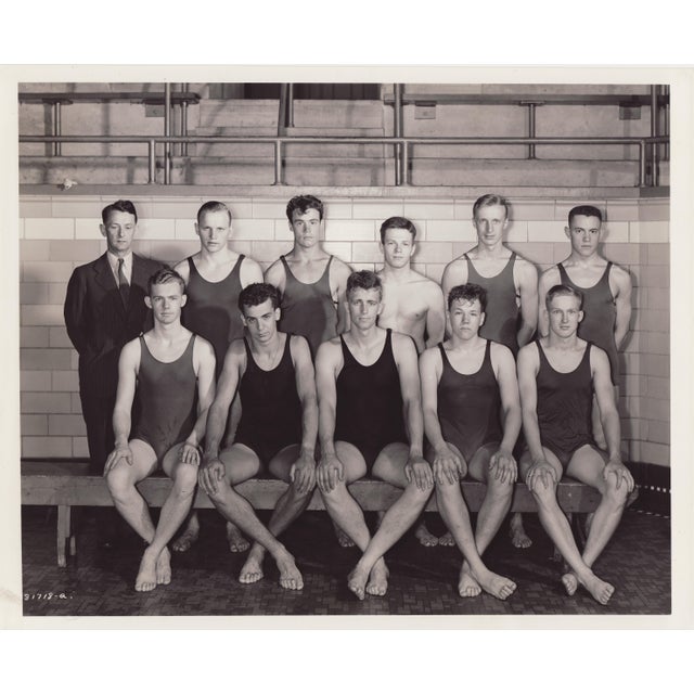 Figurative Antique Photograph: University of Minnesota Men's Swimming Team 1940-1941 For Sale - Image 3 of 3