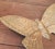 Metal Vintage Solid Brass Butterfly Wall Sculpture Large XL For Sale - Image 7 of 13