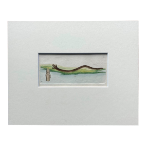 Shaw & Nodder HandiColored Copper Engraving, 1783 "Lumbriciform Lizard"