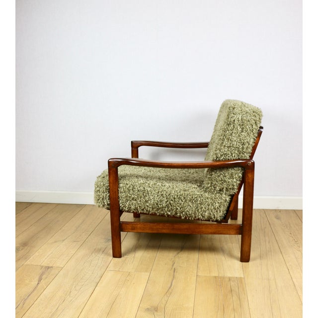 Vintage Brown Lounge Chair by Z. Bączyk For Sale - Image 4 of 12
