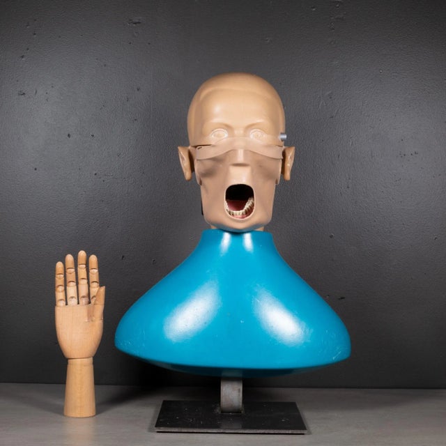 Phantom Dental Training Simulator on Custom Stand C.1960-1980 For Sale - Image 10 of 10