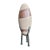 Oblong quartz rock of light grey body with large rusty brown inclusions. Shiva Lingam stones are ancient and gathered from...