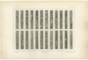 Intricate Sword Hilt, 1884, Paper