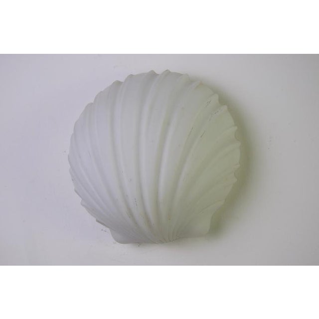 Opaline Glass Shell Wall Lamps from Glashütte Limburg, 1960s, Germany, Set of 2 For Sale - Image 9 of 12