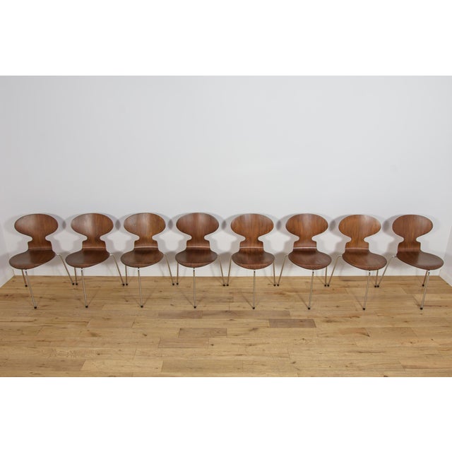 Fritz Hansen Mid-Century Model 3101 Ant Dining Chairs by Arne Jacobsen for Fritz Hansen, Denmark, 1970s, Set of 8 For Sale - Image 4 of 18