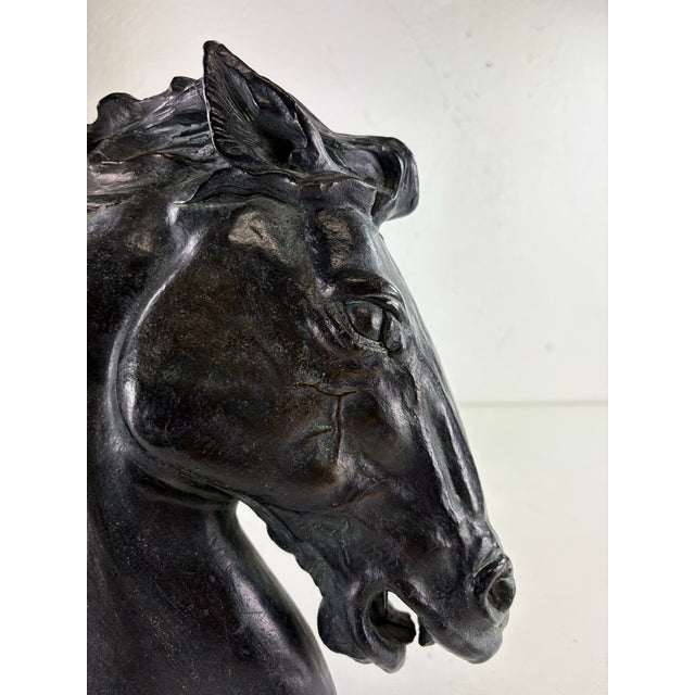 1970s Mid-Century Vintage Equestrian Plaster Horse Bust For Sale - Image 5 of 10
