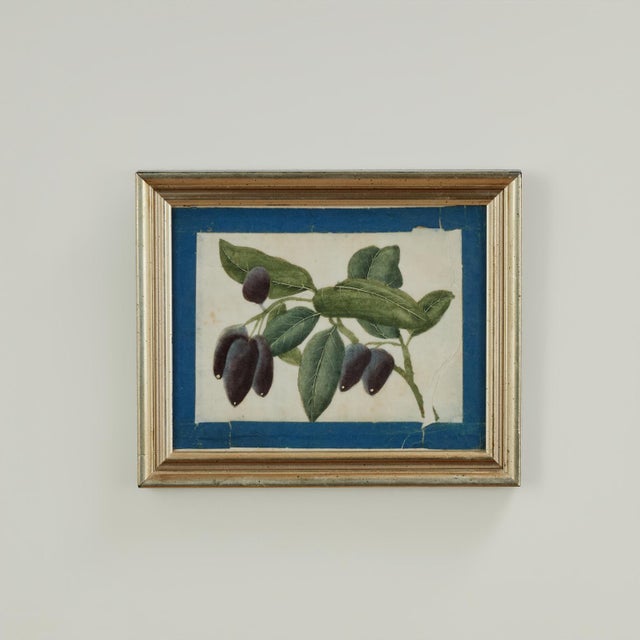 Set of Nine Antique Chinese Botanical Fruit Paintings on Pith Paper For Sale - Image 18 of 18