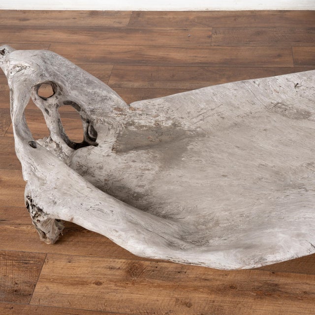 ​​​​​​​Large Organic Teak Root Bench With Carved Iguana, Circa 1940-60 For Sale - Image 4 of 12