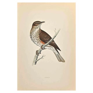 Alexander Francis Lydon, Redwing, Woodcut Print, 1870 For Sale