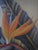 Late 20th Century Ted Mundorff Vintage Floral Hawaiian Air Brush on Board Bird of Paradise 12 X 10 C1950 For Sale - Image 5 of 18