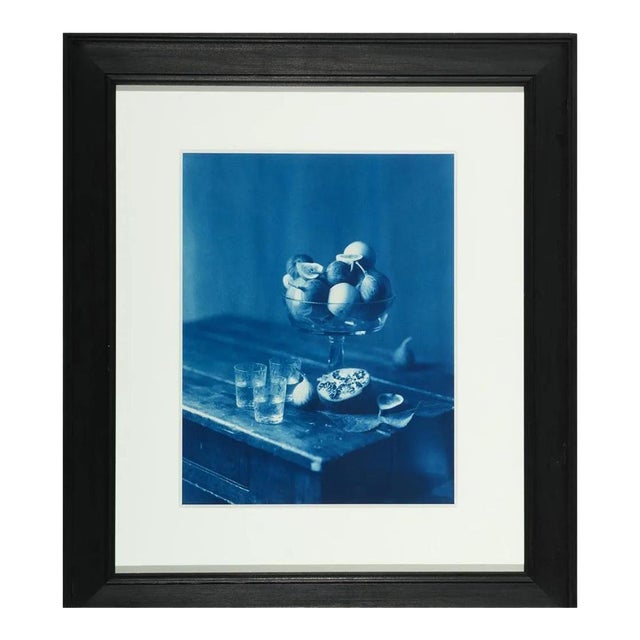 Framed Editioned Cyanotype Photography by John Dugdale For Sale