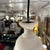 Pottery Barn Noah Bell Pendant Light For Sale - Image 12 of 12