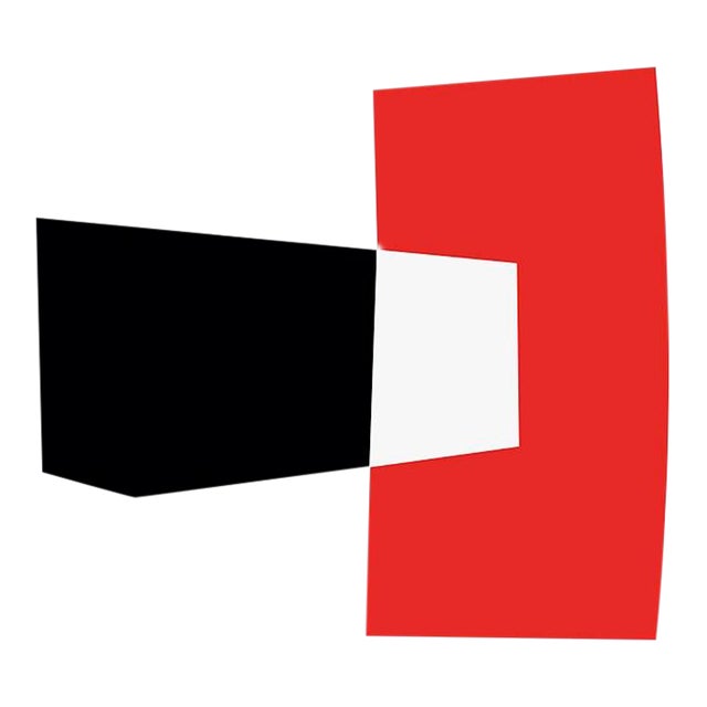 Black Meets Red Fine Art Print 20"x 24" by Liz Roache For Sale