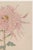 Japanese Pink Floral Giclee, Vintage Japanese Botanical Art Print, 24" X 36" For Sale - Image 3 of 8