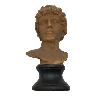 Vintage Italian Terracotta Bust of Antinous, Companion of the Roman Emperor Hadrian. For Sale