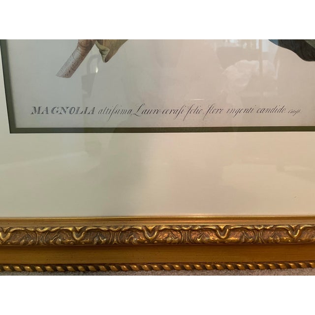 Gold Framed Magnolia Prints, a Pair For Sale - Image 4 of 10