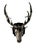 Bronzed Tole 14-point Buck Trophy Head Wall Mount For Sale - Image 6 of 12