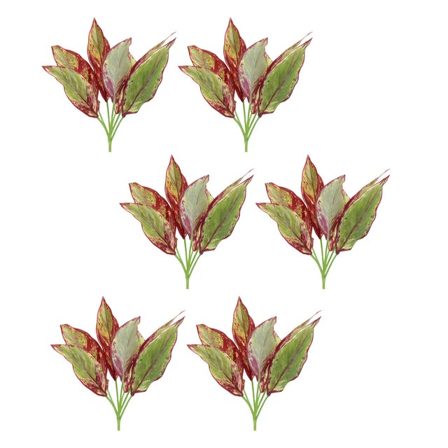 Rustic Variegated Foliage Plant (Set of 6) For Sale - Image 3 of 3