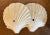 Antique Art Deco Italian Carved Marble Scallop Sea Shells Circa 1920 - a Pair For Sale In New York - Image 6 of 11