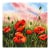 Poppies 2 - Original Botanical Floral Watercolor Painting on Paper For Sale