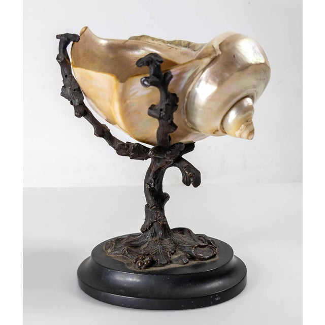 Late 19th Century 19th Century Continental European French or German Bronze With Turbo Shell, Kunstkammer Object For Sale - Image 5 of 14