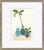 Still Life Series by Susan Hable, Set of 12 For Sale In Tampa - Image 6 of 14