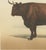 19th Century Borie, Salers Ox, French Cattle Breed, 1863, Chromolithograph For Sale - Image 5 of 9