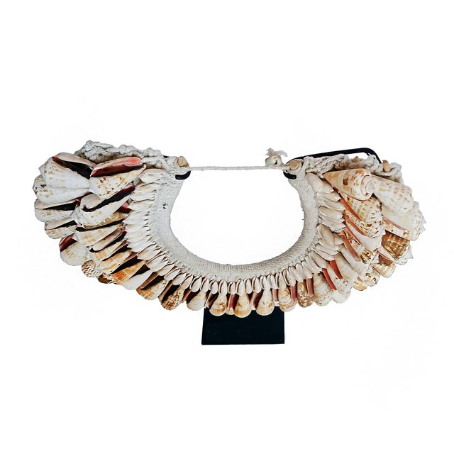 Cone Shell Necklace on Stand, Papua New Guinea, Contemporary For Sale - Image 13 of 16