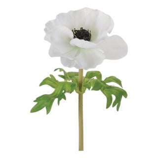 Anemone Floral Stem (Set of 6) For Sale