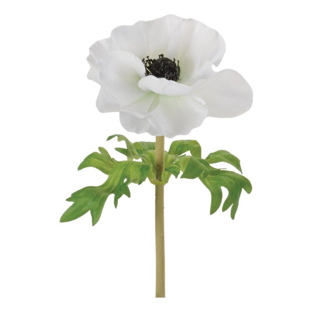 Anemone Floral Stem (Set of 6) For Sale
