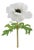Anemone Floral Stem (Set of 6) For Sale