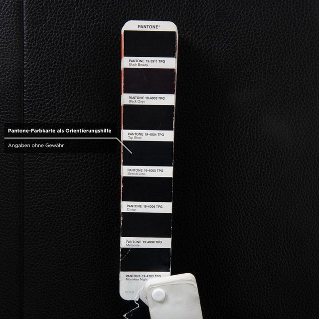 Animal Skin AK 644 Two-Seater Leather Sofa by Rolf Benz For Sale - Image 7 of 11