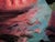 Early 21st Century Make Room for Your Inner Stoic by Andreas Claussen | Oil on canvas Astronaut on a flamingo float with various objects. For Sale - Image 5 of 5