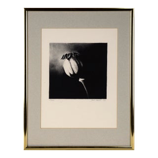 Poppy Pod - Etching in Ink on Paper For Sale