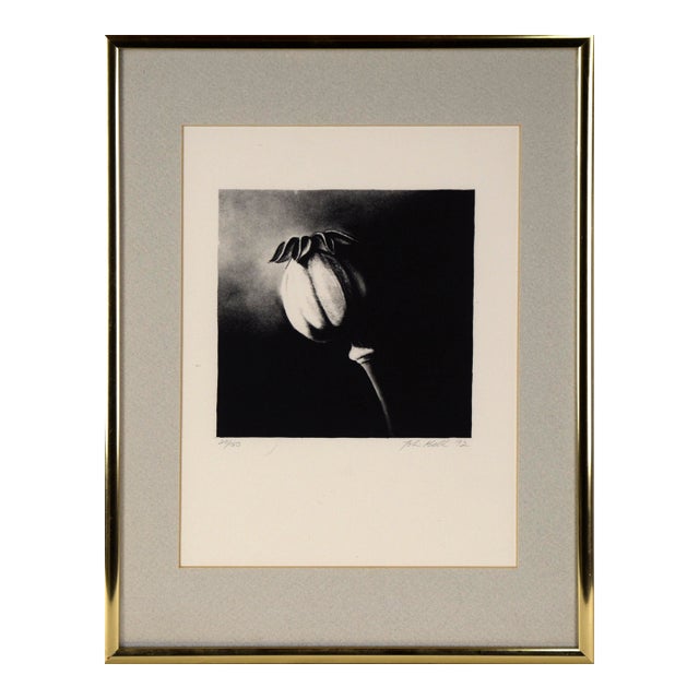Poppy Pod - Etching in Ink on Paper For Sale