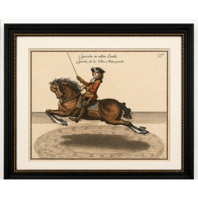 William Cavendish, Dressage Capriole Engraving after Newcastle, 1700, Engraving For Sale - Image 12 of 13