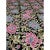 2010s 2010s Handwoven Chainstitch Style Rug 4'8" X 7'2" For Sale - Image 5 of 10