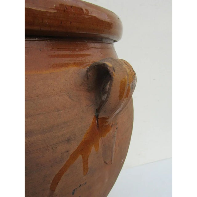 1950s Vintage French Terracotta Earthenware Storage Pot, 1950s For Sale - Image 5 of 9