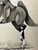 American 1940s Original Signed Graphite Illustration of Saddle Horse With Rider, 11 X 9½ In. For Sale - Image 3 of 6