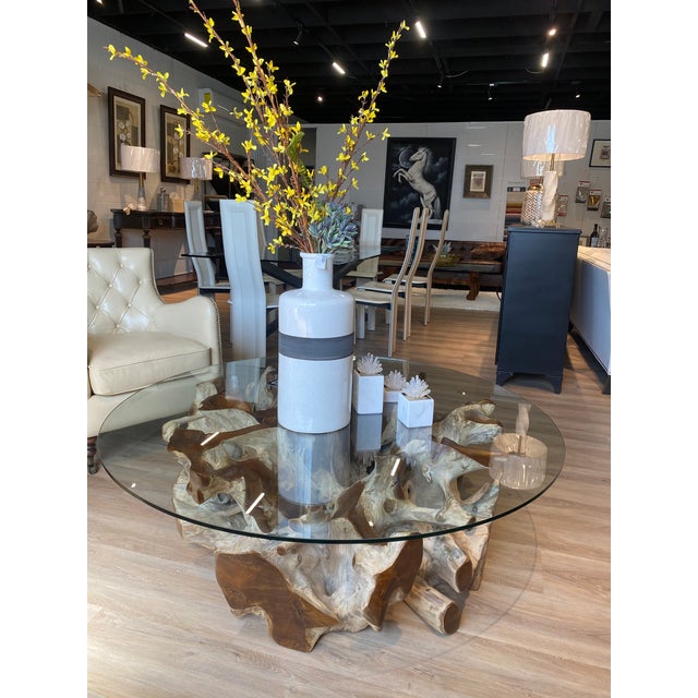 Wood Teak Root Ball Base Glass Top Coffee Table Lg For Sale - Image 7 of 10