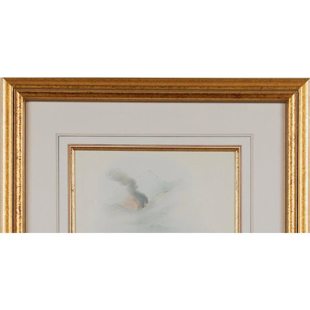 Mid 19th Century Thorn-Bill Hummingbirds: A Framed 19th C. Hand-Colored Lithograph by Gould, 1862-1873 For Sale - Image 5 of 5