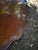 Vintage Two-Tier Mahogany Dumbwaiter Table For Sale - Image 4 of 12