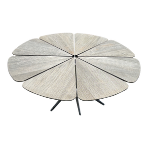 Richard Schultz Petal® Coffee Table by Knoll