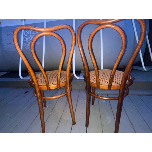 Antique Thonet #16 Matched Pair of Parlor Chairs For Sale - Image 10 of 10