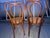 Antique Thonet #16 Matched Pair of Parlor Chairs For Sale - Image 10 of 10