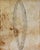 2020s Contemporary Abstract Soil and Charcoal on Canvas "Curiosity" by Paul Landauer For Sale - Image 5 of 8