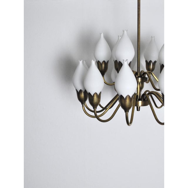 18-Arm Brass and Opaline Glass Tulip Chandelier from Fog & Mørup, 1950s For Sale - Image 6 of 18
